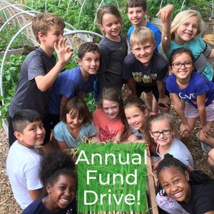 Image post by @kidsgardening on Instagram