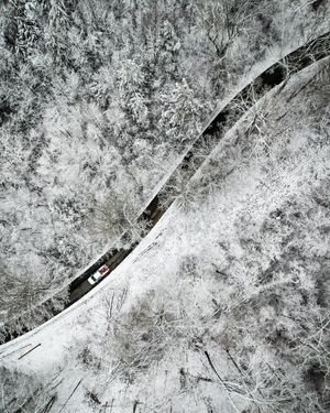 Image post by @nicktroutmankayak on Instagram