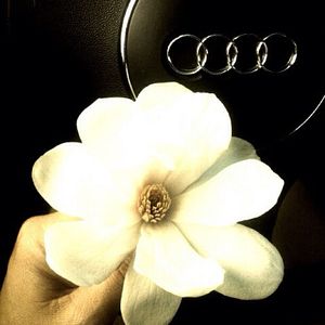 Image post by @audi on Instagram