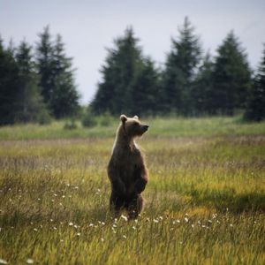 Image post by @nationalparkservice on Instagram