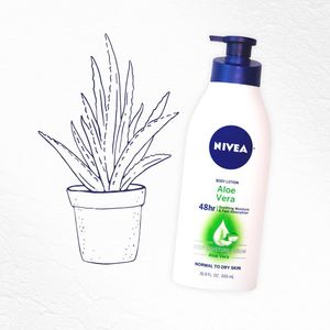 Image post by @niveausa on Instagram