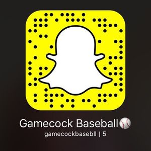 Image post by @gamecockbaseball on Instagram