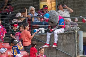 Image post by @carolinamudcats on Instagram