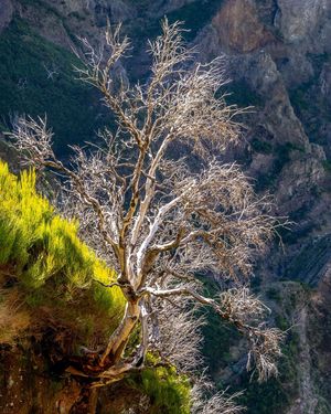 Image post by @cristan.nature.photography on Instagram