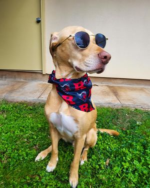 Image post by @rutgersu on Instagram