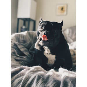 Image post by @allieaurora on Instagram