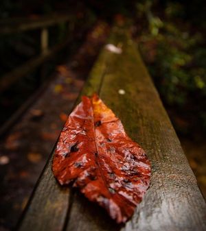 Image post by @JustinPotterPhotography on Facebook