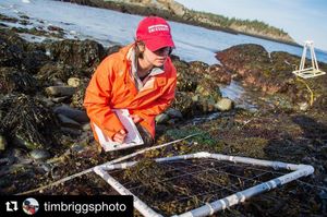 Image post by @northeastern on Instagram