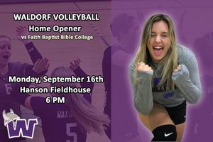 Image post by @waldorfvb on Instagram