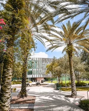 Image post by @usouthflorida on Instagram