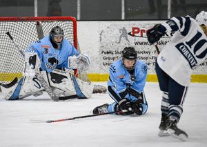 Image post by @buffalobeauts on Instagram