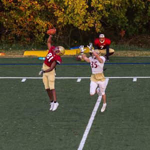 Image post by @elonfb on Instagram