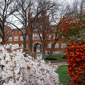 Image post by @marshallu on Instagram