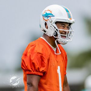 Image post by @dolphins_esp on Instagram
