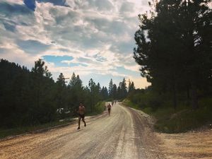 Image post by @montanagrizcrosscountry on Instagram