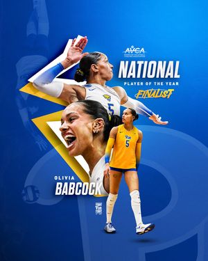 Image post by @pitt_vb on Instagram
