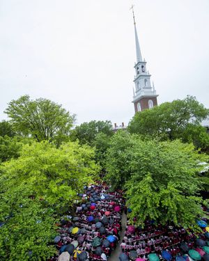 Image post by @harvard on Instagram