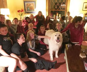 Image post by @harvardwsoccer on Instagram