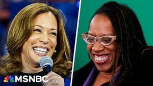 Video post by @msnbc on YouTube