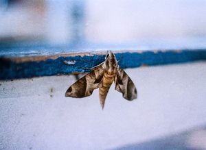 Image post by @_lory_costa on Instagram