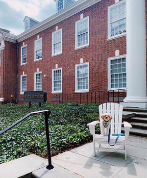 Image post by @udelaware on Instagram