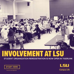 Image post by @lsucampuslife on Instagram