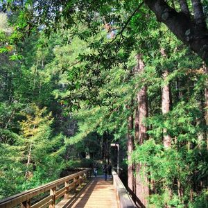 Image post by @ucsc on Instagram