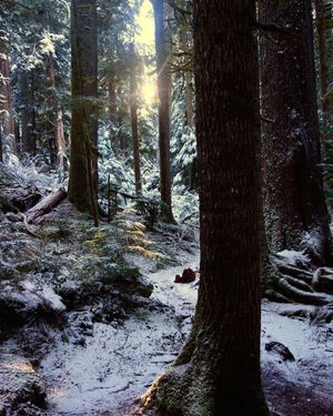 Image post by @nationalparkservice on Instagram
