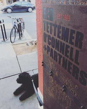 Image post by @redtettemer on Instagram