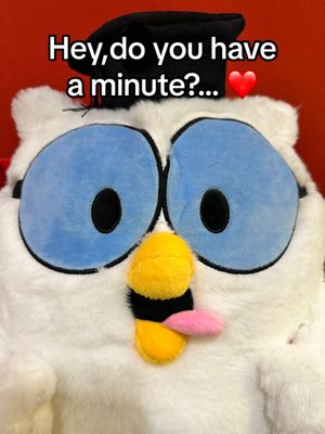 Image post by @tootsieroll on TikTok