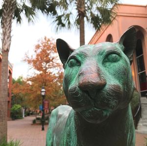 Image post by @collegeofcharleston on Instagram