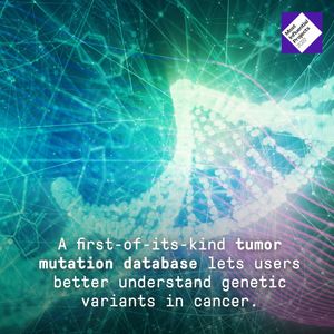 Image post by @pmi_org on Instagram