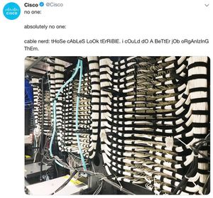 Image post by @cisco on Instagram