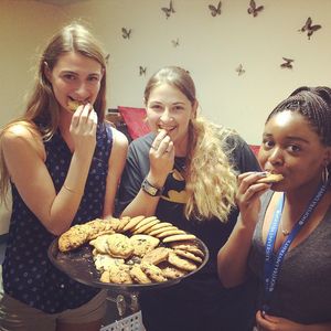 Image post by @hofstrau on Instagram