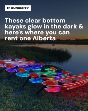 Image post by @curiocitycalgary on Instagram