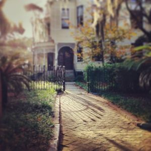 Image post by @collegeofcharleston on Instagram