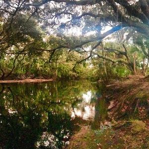 Image post by @visitsarasotacounty on Instagram