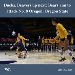 Image post by @dailycalsports on Instagram