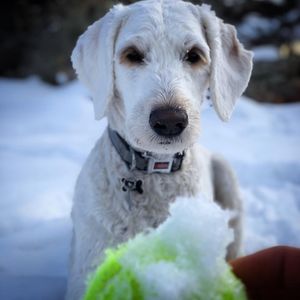 Image post by @winwithmatlin on Instagram