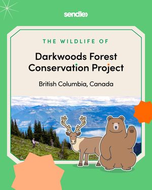 Image post by @sendle on Instagram