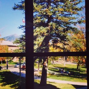 Image post by @nauflagstaff on Instagram