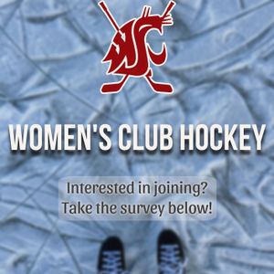 Image post by @wsu_hockey_ on Instagram