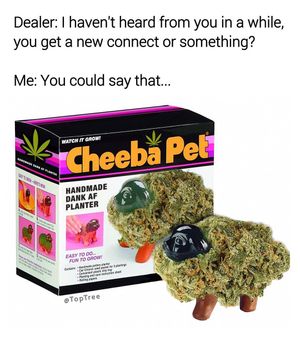Image post by @worst.buy on Instagram