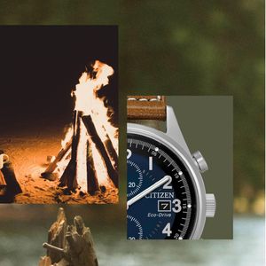 Image post by @citizenwatchus on Instagram