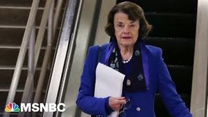 Video post by @msnbc on YouTube
