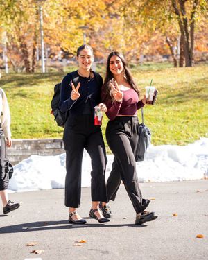 Image post by @HarvardWHockey on Twitter