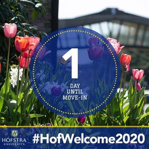 Image post by @hofstrau on Instagram