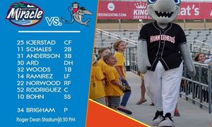 Image post by @gohammerheads on Instagram