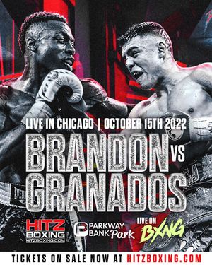 Image post by @zvindesign on Instagram