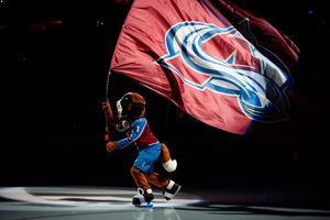 Image post by @AvsBernie on Twitter